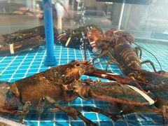 -百富源·海鲜辽菜(张士店)