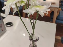 店内布置-伊斯坦布尔土耳其清真咖啡餐厅