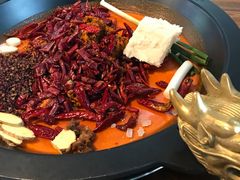 -黄潇洒老火锅(九眼桥宏济巷店)