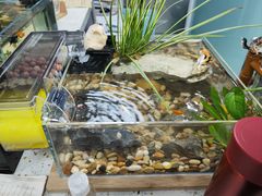 -莘程宠物医院(金山店)