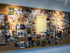 -翊宠yipet猫狗购宠庄园犬舍•猫舍