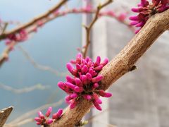 -钓鱼台国宾馆