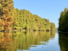 -上海海湾国家森林公园