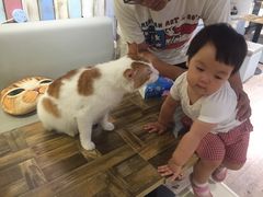 -小时光咖啡馆(开森度假森林店)