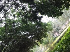 -金山公园