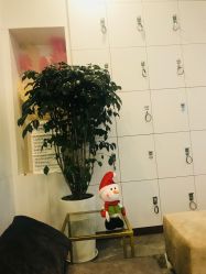 -CD Hair salon