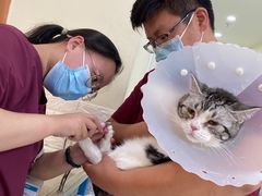 -美联众合动物医院·24h京西诊疗中心