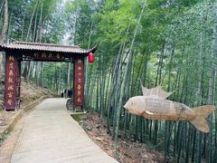 -石台牯牛降景区