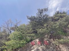 -沂蒙山旅游区龟蒙景区