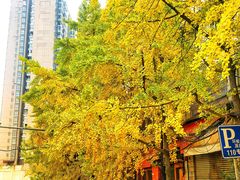 -蒋家肠旺面馆老店(合群路店)