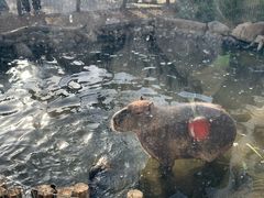 -祥源·阜阳生态乐园