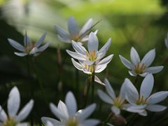 -西安浐灞国家湿地公园