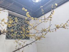 -天福苑(崇宁路店)
