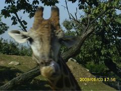 秦岭野生动物园-西安秦岭野生动物园