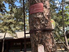 -承德避暑山庄景区