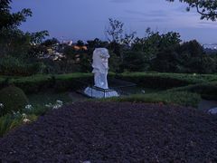 -花柏山公园