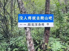-鹿院坪生态旅游景区