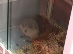 -狗道宠物(常熟印象城店)