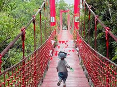 -吴淞炮台湾湿地森林公园烧烤区