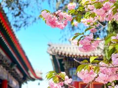 -北京艺术博物馆(万寿寺)