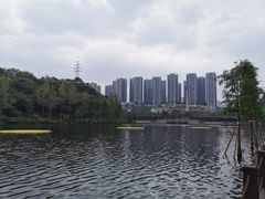 -重庆彩云湖湿地公园