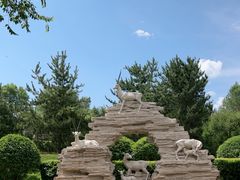 -青藏高原野生动物园