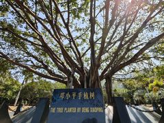 -深圳仙湖植物园