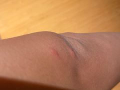 -三亚海棠湾万丽度假酒店