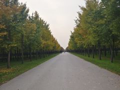 -汉景帝阳陵博物院