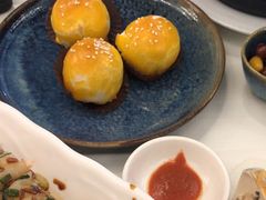 -侨美·唐荔园·40年地道粤菜