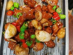-老板恋上鱼(高新万达店)