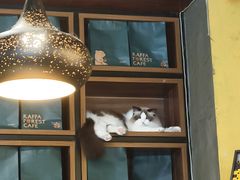 -咖法森林·咖啡  酒吧(天河店)