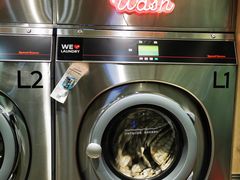 -WASHME大洗屋(虹桥南丰城直营店)