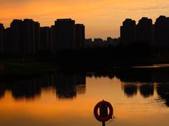 -洋湖国家湿地公园