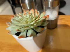 -TIAGO HOME KITCHEN(王府中环店)