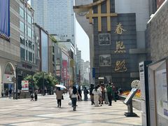 -成都明宇丽雅饭店
