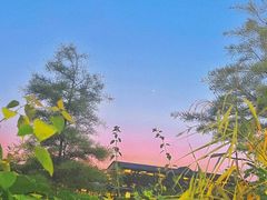 -长鹿旅游休博园