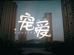 -万达影城(锦华万达广场IMAX店)