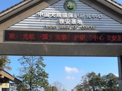 -中国大熊猫保护研究中心雅安碧峰峡基地