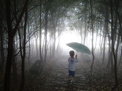 -瑞安圣井山景区