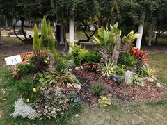 -苏州上方山国家森林公园