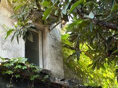 -小雅青年旅舍(平江路店)