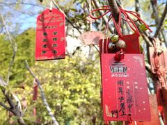 -沈坤状元府景区