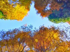 -山王坪喀斯特国家生态公园