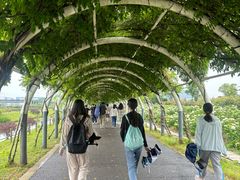 -栖露营camping·天幕烧烤·团建拓展·采摘营地
