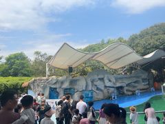 -泉州海丝野生动物世界