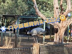 -费瑟代尔野生动物园