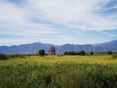 -野鸭湖国家湿地公园