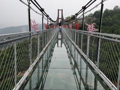 -铜川市金锁关石林