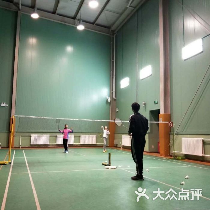 火星羽毛球游泳篮球乒乓球网球培训图片-郑州